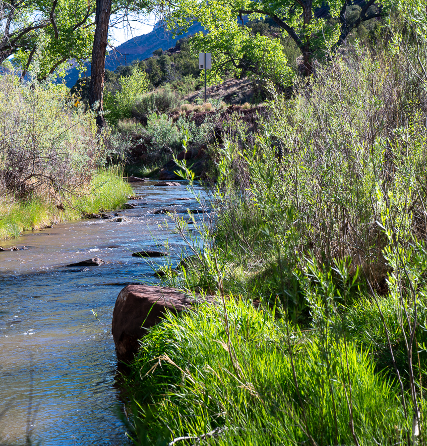 Peaceful Stream