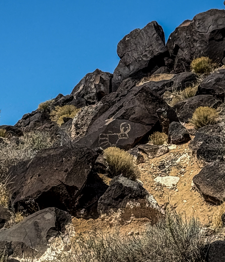 Perhaps Gambel's quail
