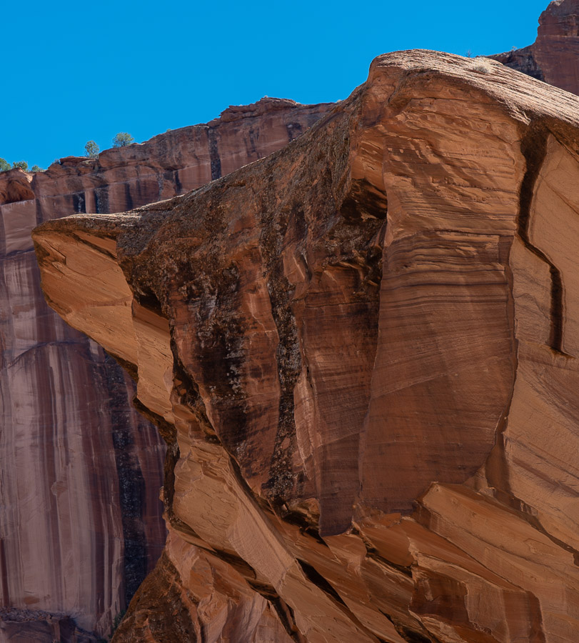 Cat Rock in Canyon de Chelly